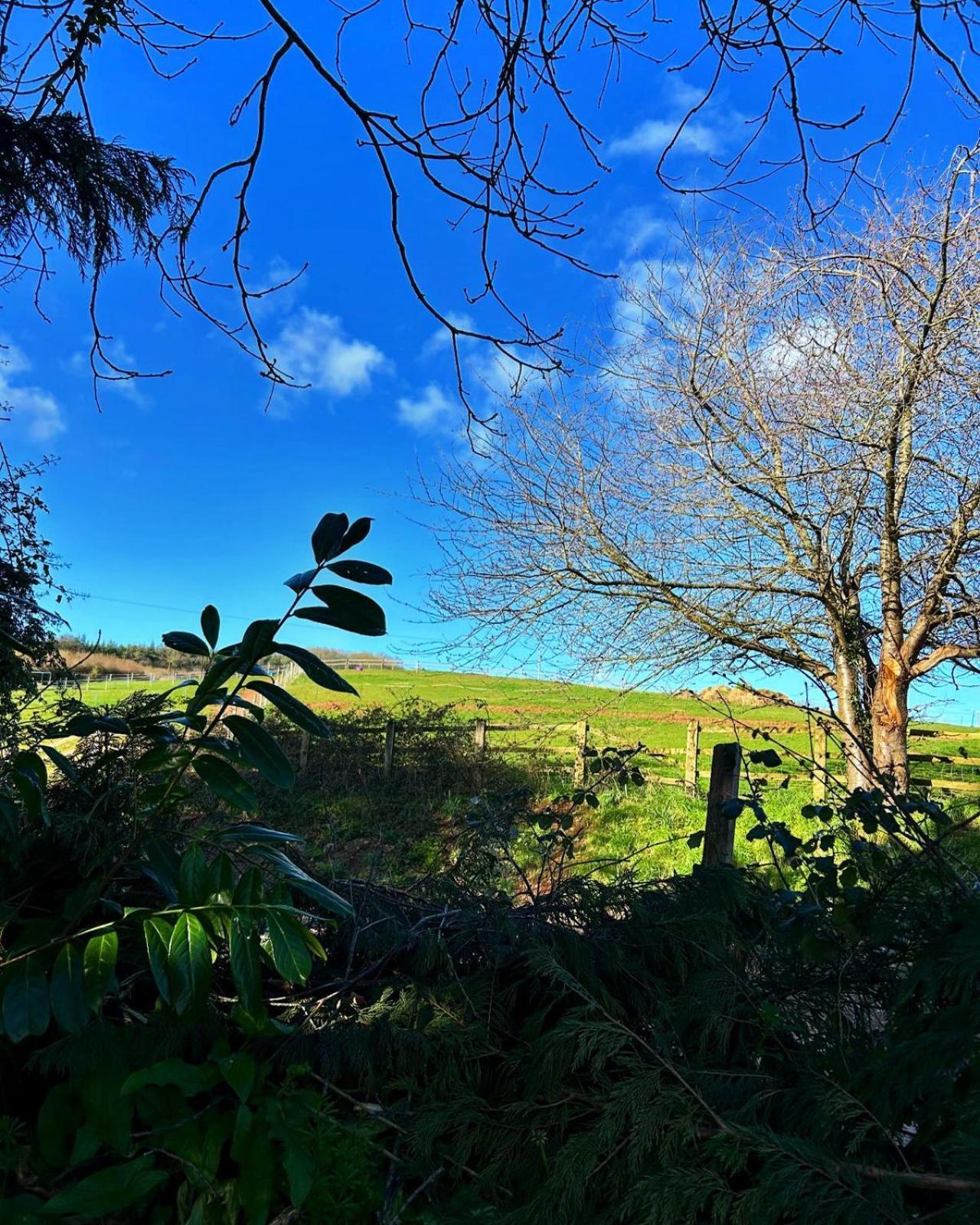Sundial Cottage Newton Abbot Luaran gambar