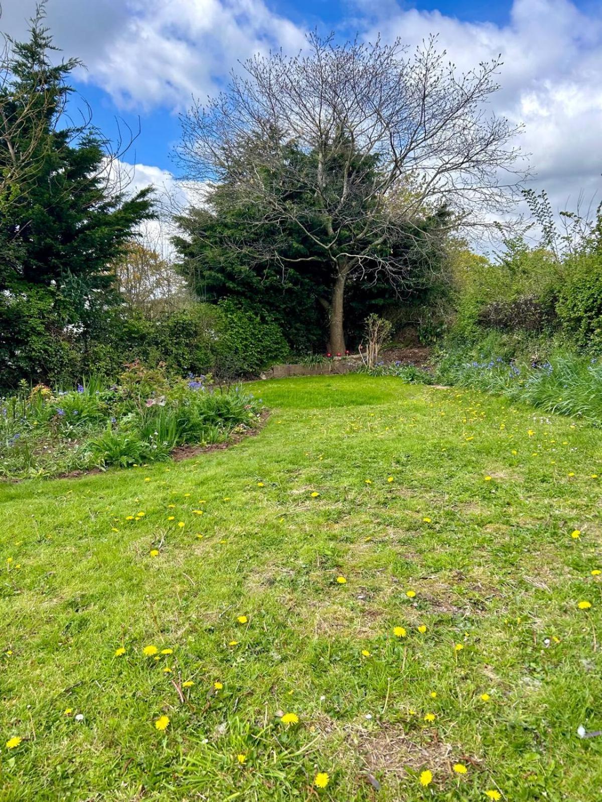 Sundial Cottage Newton Abbot Luaran gambar